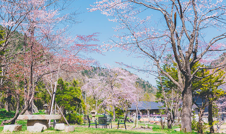 庭園・かぜテラス|樹々と水に囲まれ、時を超えたくつろぎを。