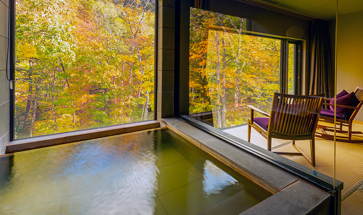 温泉・スパトリートメント|三大美湯のひとつ、「炭酸水素塩泉」のやわらかな湯。
