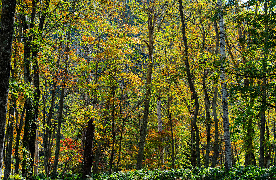 エステサロン美湯手