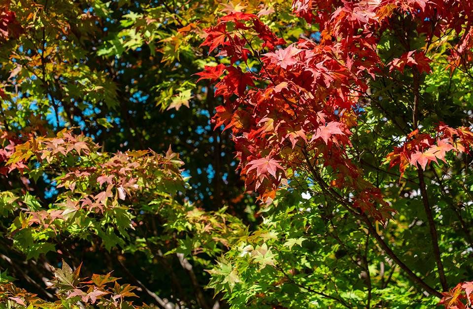 エステサロン美湯手